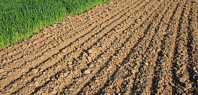 Rolnicy natrafili na niewybuch z II wojny światowej