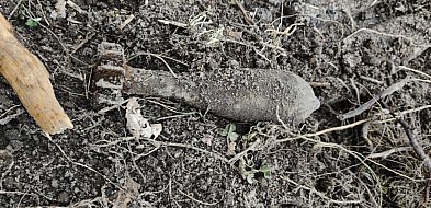 Policja pilnuje znaleziska w Dobryninie