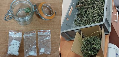 Mielczanie zatrzymani pod Połańcem. Narkotyki i brak upewnień