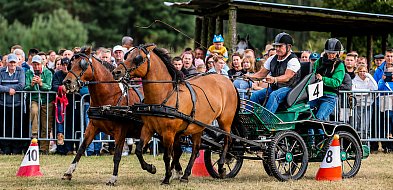 XVII Parada Konna w Żarówce już w niedzielę!