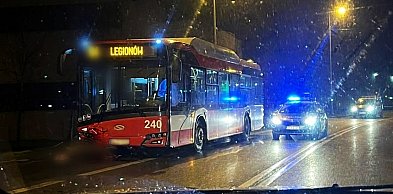 Kolizja: MKS, ciężarówka, sarny