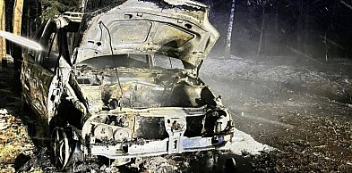 Pożar samochodu w śnieżycy. Interwencja służb