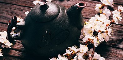 Podróż do Kraju Kwitnącej Wiśni. Spotkanie 27 lutego