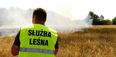 Nie wypalaj traw! Coroczny apel leśników