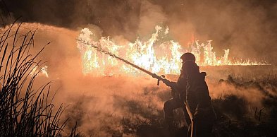 Lawina pożarów traw. Znamy statystyki