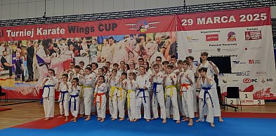 Przed nami Wings Cup i Dzień Kultury Japońskiej w Mielcu