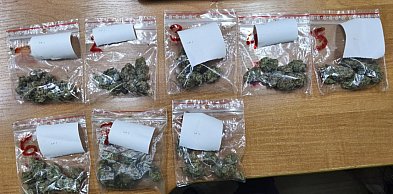 33-letni mielczanin odpowie za posiadanie narkotyków