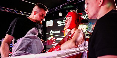 Przecław gospodarzem II edycji MSB Region Boxing Cup