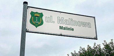 Malinie z nazwami ulic? Mieszkańcy zdecydowali