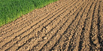 Rolnicy natrafili na niewybuch z II wojny światowej