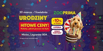 Market zoologiczny ZOOPRIMA w Mielcu świętuje 3. urodziny! Hitowe ceny!