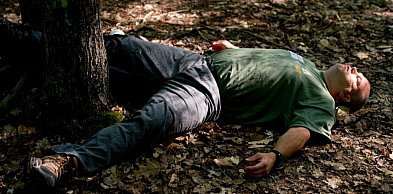 Izba jak bumerang. Można na tym zarobić?