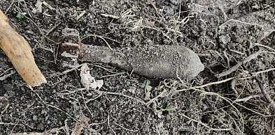 Policja pilnuje znaleziska w Dobryninie