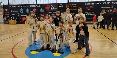 Mocny występ mieleckich karateków. Osiem medali na BUSHI-DO CUP