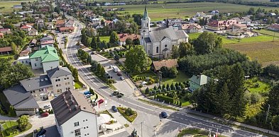 Cenne pomniki przyrody pod specjalną opieką. Gmina pozyskała dofinansowanie