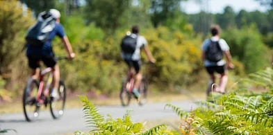 Nowa ścieżka rowerowa w powiecie? „Wzdłuż terenów leśnych”-100926