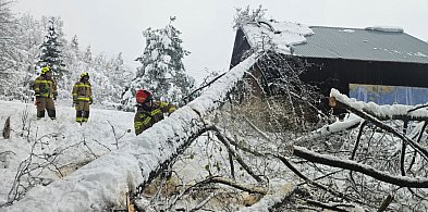 Podkarpackie: po ataku zimy ponad 1 tys. interwencji strażaków-102585