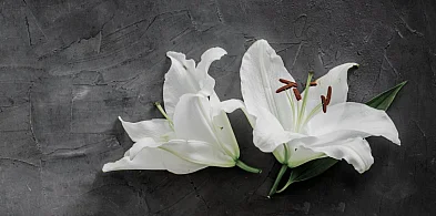 Kondolencje dla Bliskich śp. Mieczysława Wojtkowskiego-103110