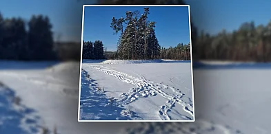 Spacery po zbiornikach wodnych? Nadleśnictwo alarmuje-104515