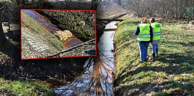 Skażenie kanału pod Mielcem? Jest komunikat WIOŚ