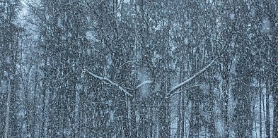 Ostrzeżenie dla powiatu: zawieje śnieżne-104380