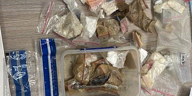 Policjanci zabezpieczyli blisko pół tony narkotyków-104416