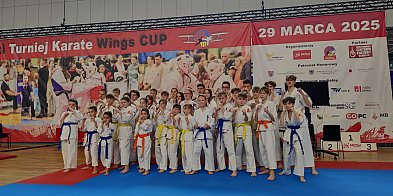 Przed nami Wings Cup i Dzień Kultury Japońskiej w Mielcu
