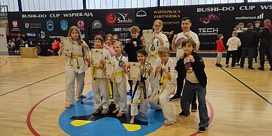 Mocny występ mieleckich karateków. Osiem medali na BUSHI-DO CUP