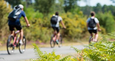 Nowa ścieżka rowerowa w powiecie? „Wzdłuż terenów leśnych”-100926