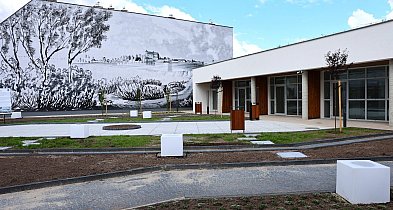 Co z Zielonym Rynkiem? „Obiekt cieszy, ale zarazem niepokoi”