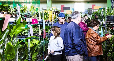 Targi Roślin trwają w hali SP7 Mielec [WIDEO, FOTO]