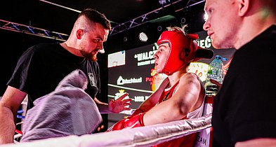 Przecław gospodarzem II edycji MSB Region Boxing Cup