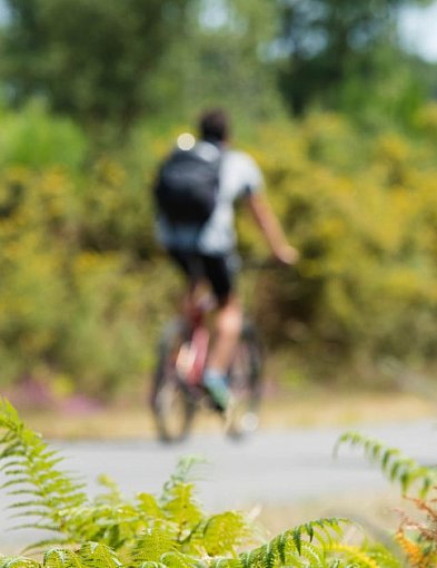 Nowa ścieżka rowerowa w powiecie? „Wzdłuż terenów leśnych”-100926
