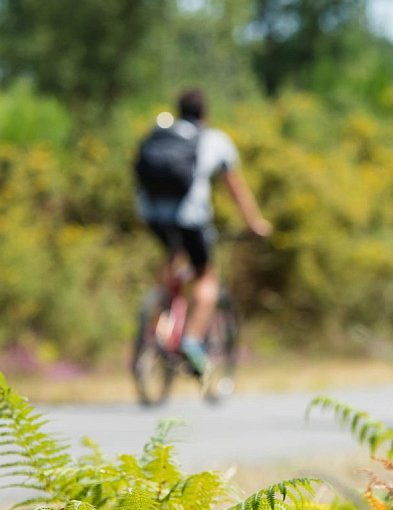 Nowa ścieżka rowerowa w powiecie? „Wzdłuż terenów leśnych”-100926