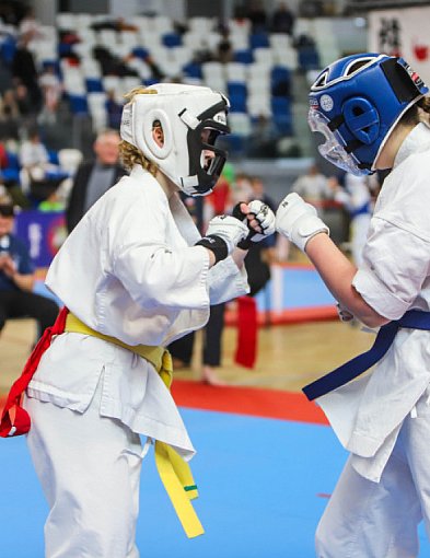 Ogólnopolski Turniej Karate Wings Cup w Mielcu – wyniki mieleckich zawodników