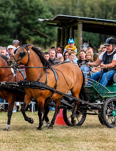XVII Parada Konna w Żarówce już w niedzielę!