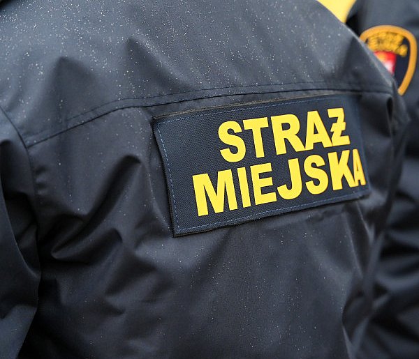 Zapuka strażnik, zapłacisz karę. Ruszyły kontrole w całej Polsce-101080