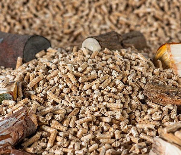 Drożeje popularny opał. Miliony Polaków dostaną po kieszeni tej zimy-101692