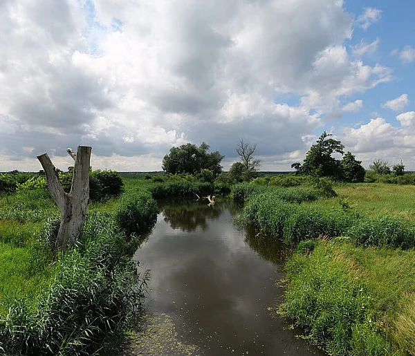 Co dalej z nowym parkiem narodowym? Minister klimatu zdradza plan po wecie-102190
