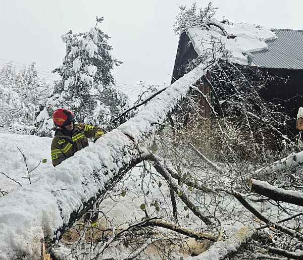 Podkarpackie: po ataku zimy ponad 1 tys. interwencji strażaków-102585