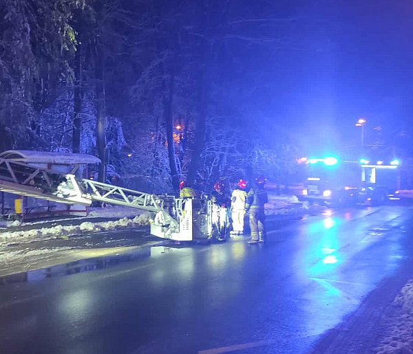 Okiść łamie drzewa w mieście: uszkodzone auta i przystanek-102657