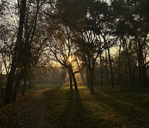 Nadchodzi najkrótszy dzień w 2025 roku. Sprawdź, kiedy przypadnie-103665