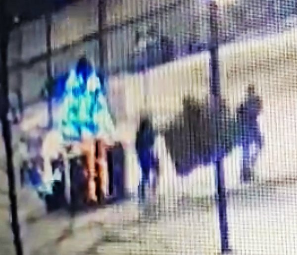 Nocny incydent. Nastolatki wyrwały świąteczną dekorację [WIDEO]-104080