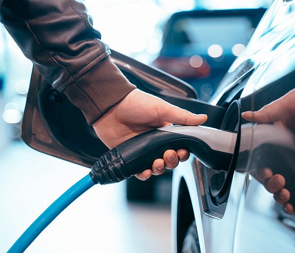 Coraz częściej dochodzi do takich kradzieży. Powody zaskakują-104805