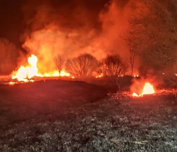 Pożar nieużytków w powiecie. Akcja służb
