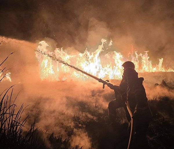 Lawina pożarów traw. Znamy statystyki