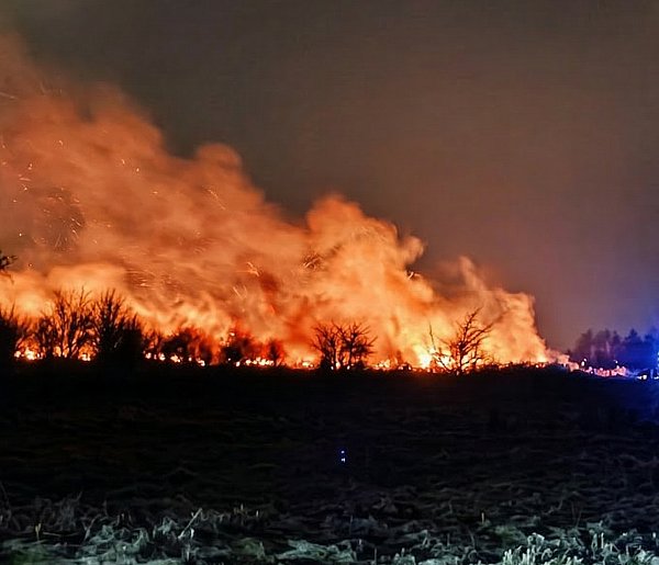Pożar na granicy Malinia i Tuszowa!