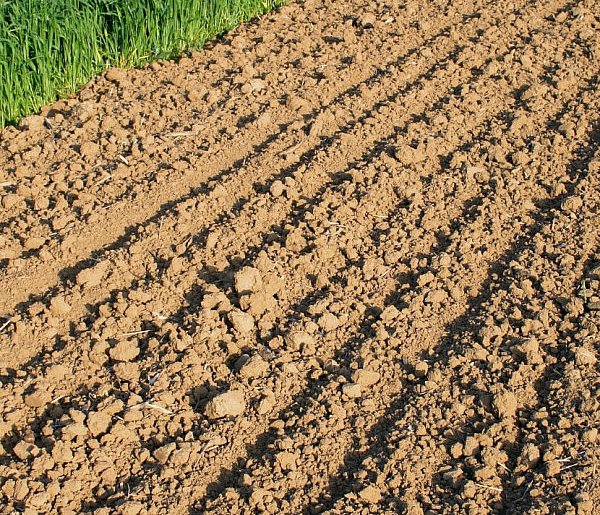 Rolnicy natrafili na niewybuch z II wojny światowej