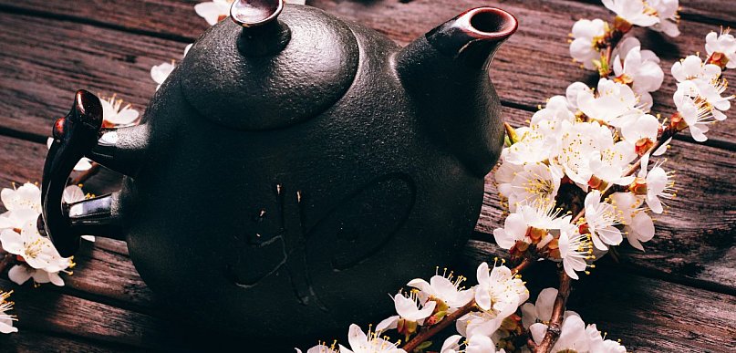 Podróż do Kraju Kwitnącej Wiśni. Spotkanie 27 lutego