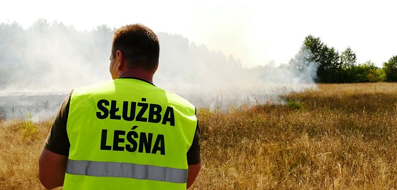 Nie wypalaj traw! Coroczny apel leśników